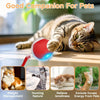 Interactive Rolling Pet Toy