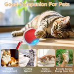 Interactive Rolling Pet Toy