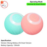 Interactive Rolling Pet Toy