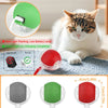Interactive Rolling Pet Toy