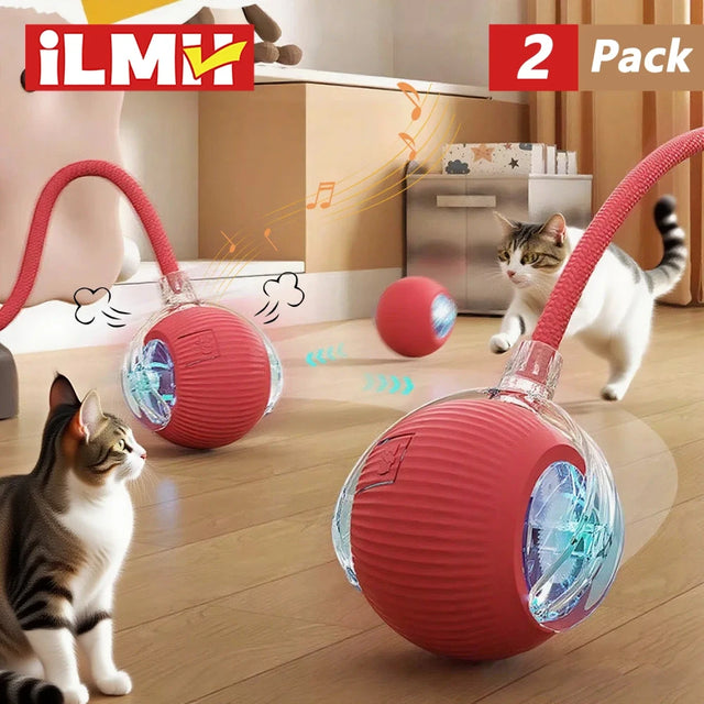 Interactive Rolling Pet Toy
