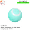 Interactive Rolling Pet Toy