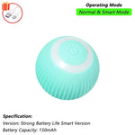 Interactive Rolling Pet Toy