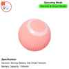 Interactive Rolling Pet Toy