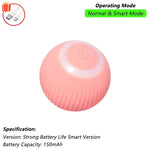 Interactive Rolling Pet Toy